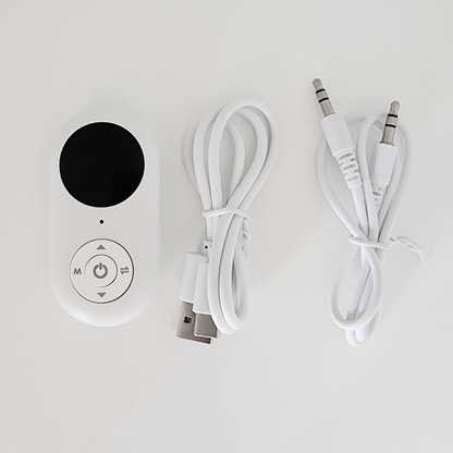 Skylink Bluetooth Transmitter